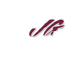 Joe Gibbs Racing Team Logo